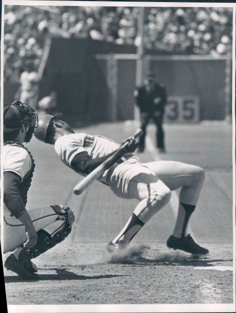 3095a1bb-1e46-403a-9a27-88f7edf72bf2_lg