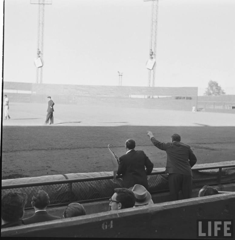 0dadd6eae61db17e_large