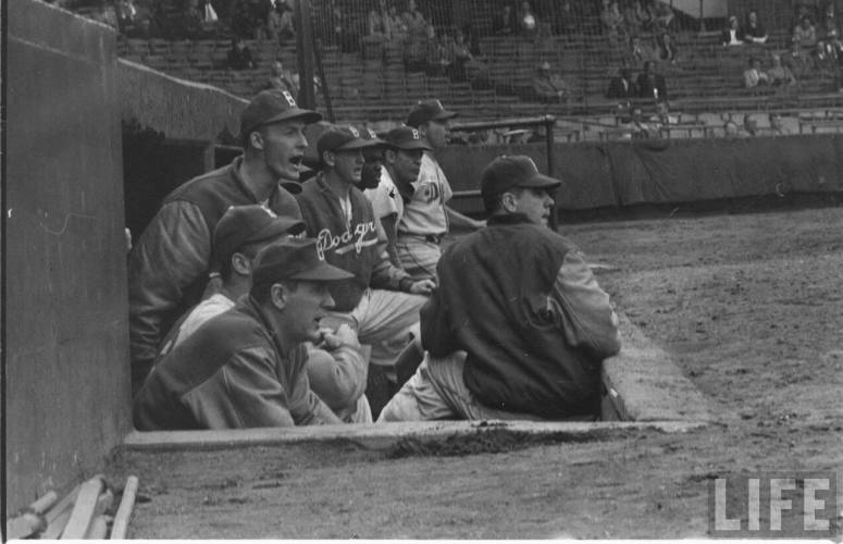 a6504a47aa419594_large